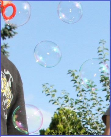 BUBBLES.... Photo (c) by Robert Wrobel